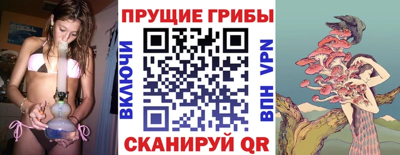 mega ссылки Рыбное Псилоцибиновые грибы Cubensis